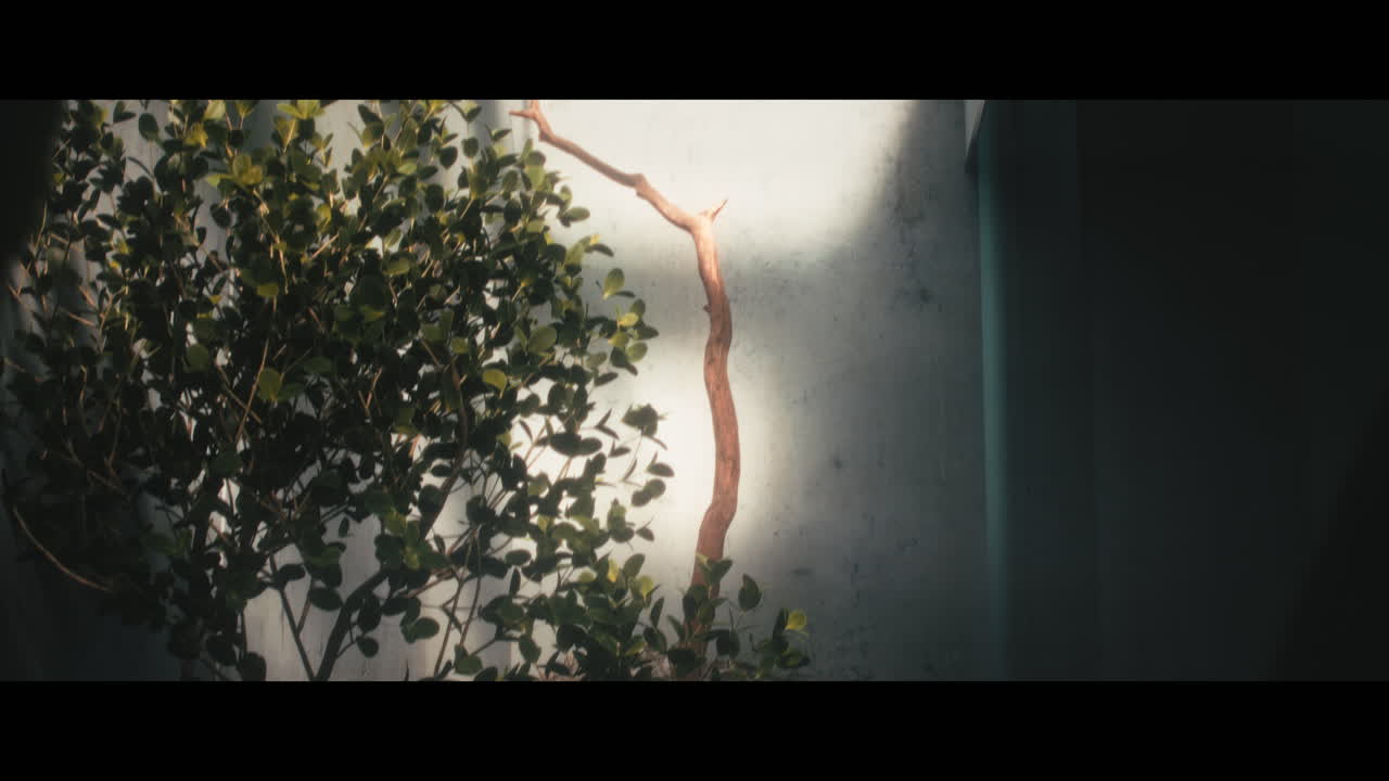 Modern Interior with Plants and Light