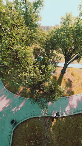 aerial view of a park path