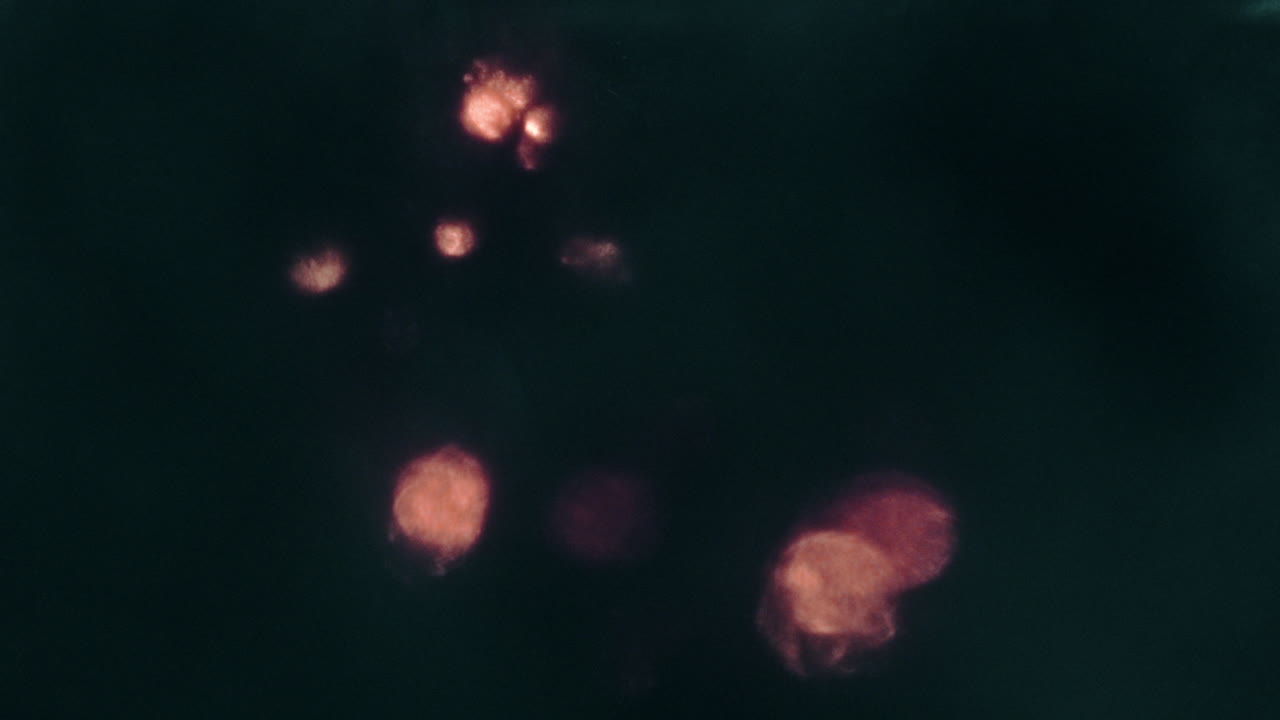 abstract fire trails from spinning steel wool photography