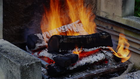 In-the-close-up-shot,-a-section-of-the-tree-is-engulfed-in-flames,-transforming-into-glowing-embers-and-forming-charcoal