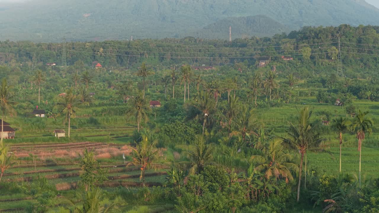 Vista maestosa da Bukit Cinta a Bali, Indonesia, che rivela lo splendido vulcano Mount Agung che si erge sopra rigogliose risaie verdi, giungla tropicale e palme, durante una mattina velata.