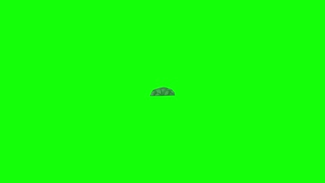 a stylized gray rock appears, then explodes into fragments with dynamic outward motion. background shifts between black, white, and green for compositing flexibility