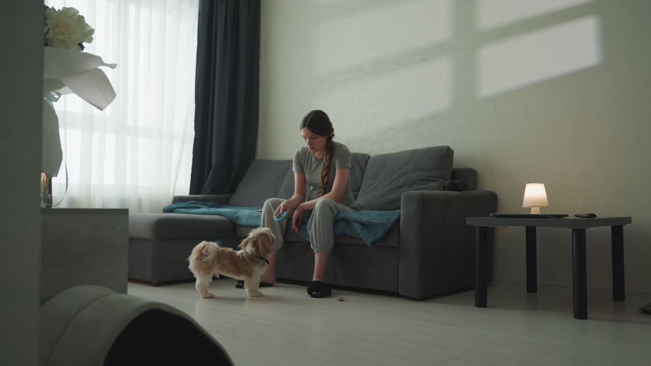 Yumuşak ışıklı oturma odasında köpeğini okşayan kadın. Battaniyeli kanepede, lamba ışığında, nazik hareketlerle ve rahat bir öğleden sonra ruh haliyle sessiz bir bağ kurmayı gösteren samimi, sakin bir sahne. Evcil hayvan sahibi, onu rahatlatmak ve ödüllendirmek için diz çöküyor.