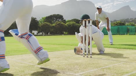 jugador de cricket atrapando la pelota y destruyendo los sellos