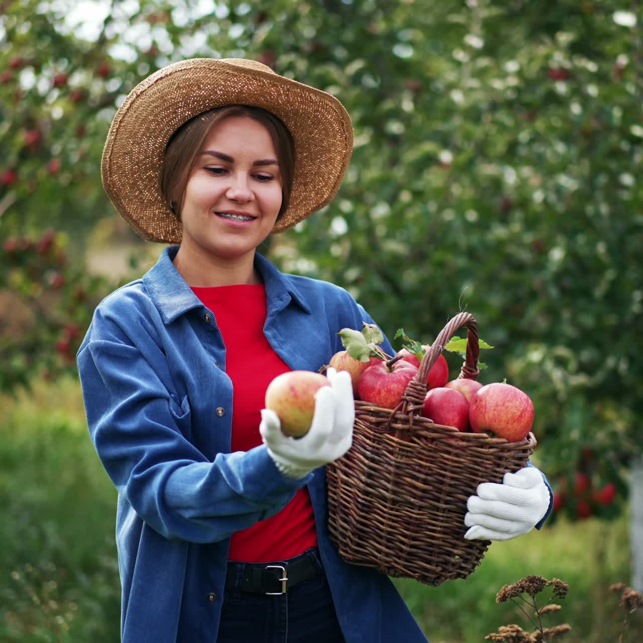 Satisfied female farmer is holding a full basket of ripe apples. Woman in straw hat is happy about the harvest, she looks at apple smiling and tosses it in the air