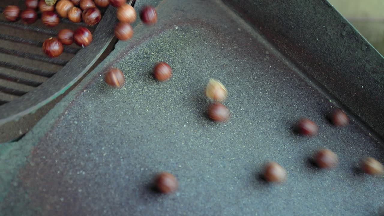 Closeup detail: Macadamia nuts roll down ramp from spinning tumbler