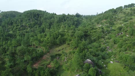 drone video of meghalaya's natural beauty