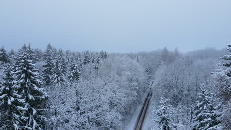 Winterlicher-Schneesturm