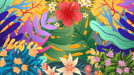 animation of flowers moving in hypnotic motion on orange background