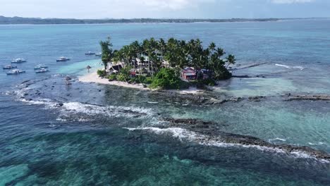 static aerial view of guyam island, a small lush tropical islet in siargao