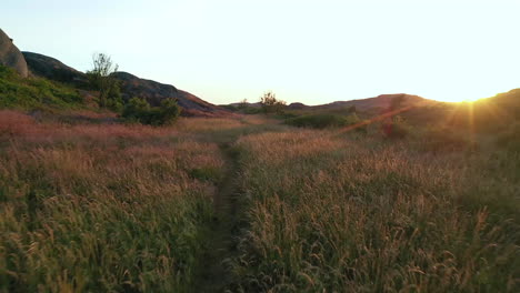 an aerial shot following a path going through high grass and ending up in a rocky bay during a sunset