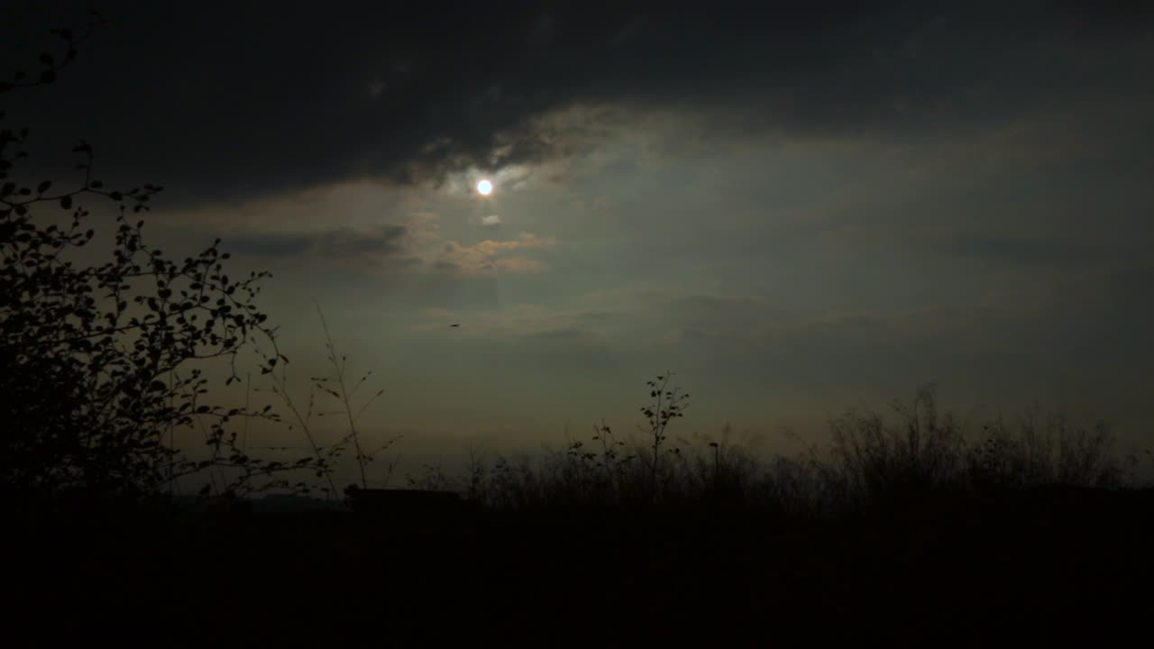 Timelapse de nubes al atardecer, vista de ángulo bajo junto a un pequeño azufaifo, nubes cruzando el sol