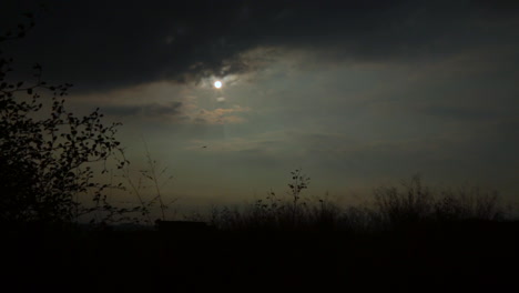 time laps of clouds in the evening, low angle view by a small tree of jujube, clouds crossing the sun