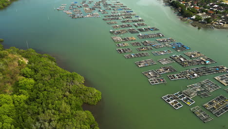 Schwimmende-Hummerfarmen-Nahe-Der-Küste-Der-Insel-Lombok,-Luftaufnahme