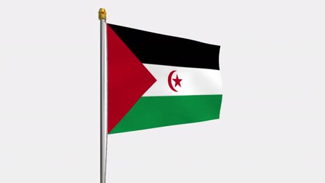 loop video of the sahrawi arab democratic republic flag  fluttering in the wind, slow motion video of 4k , with alpha channel