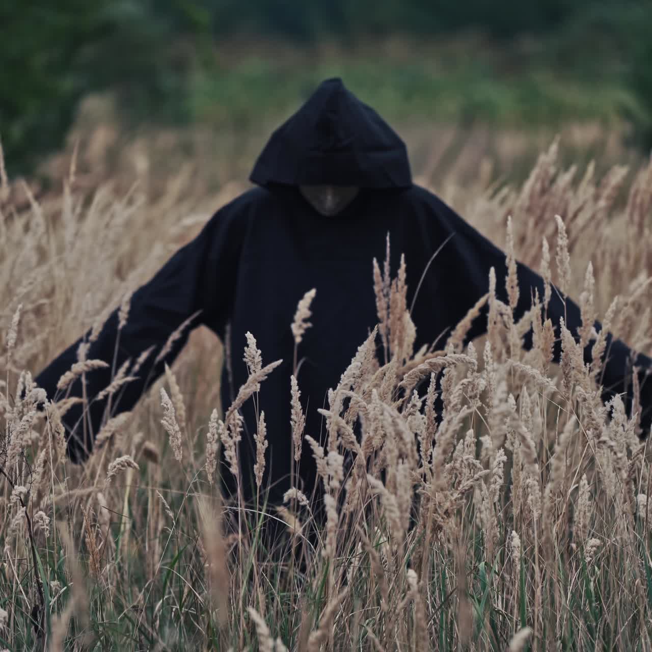 Scary evil figure in nature. Back view on scary ghost in black robe turning with outstretched arms on wheat field. Halloween concept.