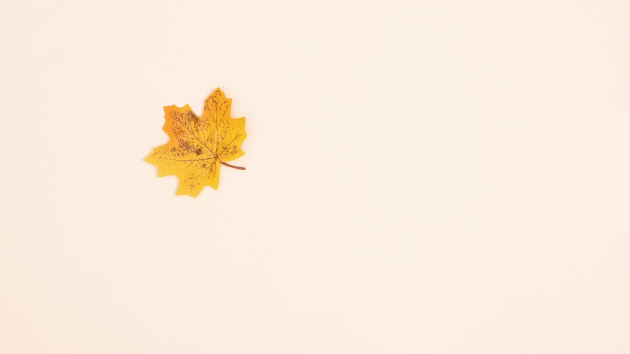 Looping stop motion animation of autumn leaves falling