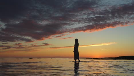 Dame-Silhouette-Figur-Zu-Fuß-Auf-Wasserkraft-Der-Natur