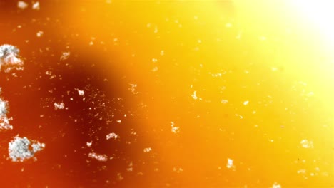 mold growing inside a diet coke can, transitioning from the outside to the interior surface, revealing contamination.