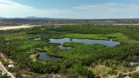 Drone-approaching-the-Mirador-Santiago-Oasis,-in-sunny-Baja-California,-Mexico