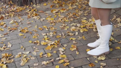 person kicking autumn leaves on a paved path