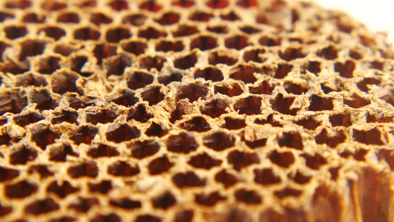 乾燥した蜂巣