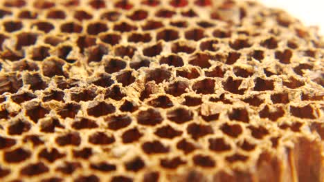 dried honeycomb