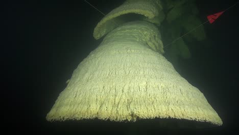 line tied off to a bell-shaped speleothem