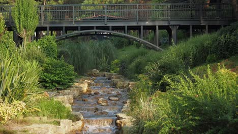 puente de madera sobre un arroyo que fluye en un jardín verde exuberante