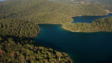 aerial view of lush green forests at mljet national park by adriatic sea in croatia