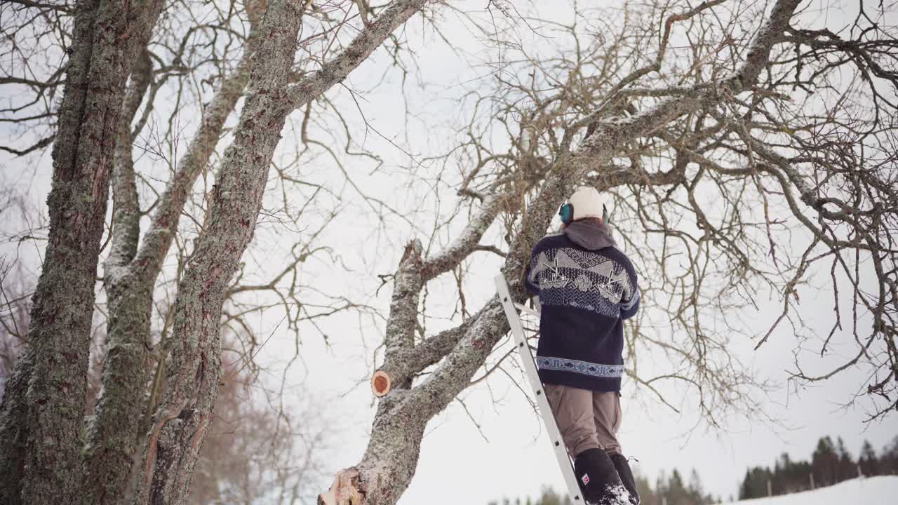 hombre en una escalera cortando una rama de árbol durante el invierno