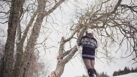 man on ladder cutting tree branch during winter