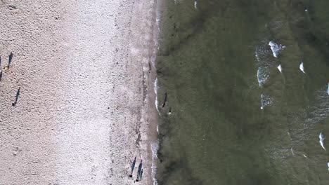 vertical aerial white sand beach gentle waves people walking around