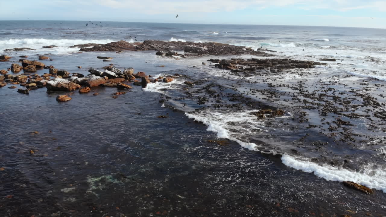 скалистый морской берег