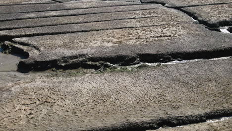 imágenes aéreas hacia atrás de marismas saladas en scituate in ma, que muestran canales en la tierra pantanosa