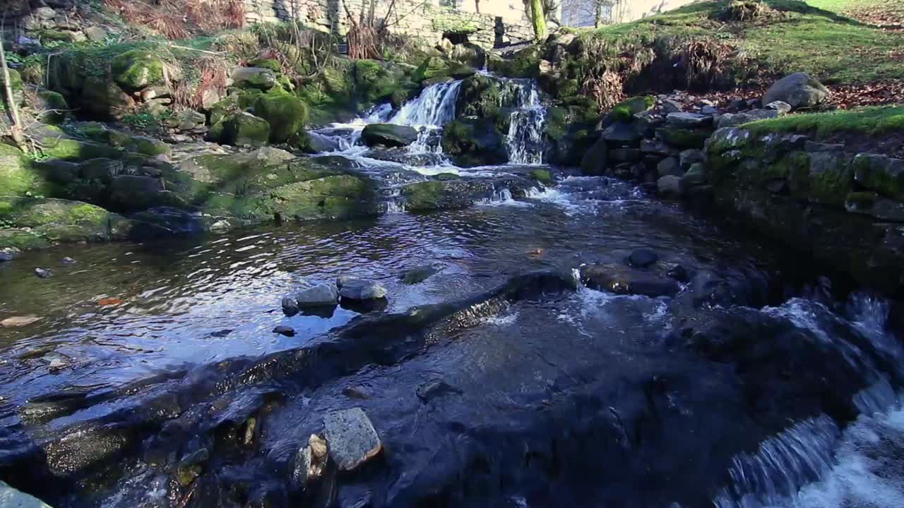 agua en un arroyo en christieparken en bergen, noruega