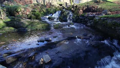 water in a creek in christieparken in bergen, norway