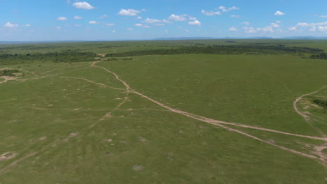 Antenne-Der-Afrikanischen-Savanne-An-Sonnigen-Tagen-In-Der-Serengeti