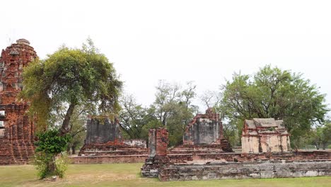 panoramic view of ayutthaya's historical site