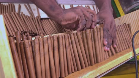 factory worker manually stacking tobacco cigar sticks at production line