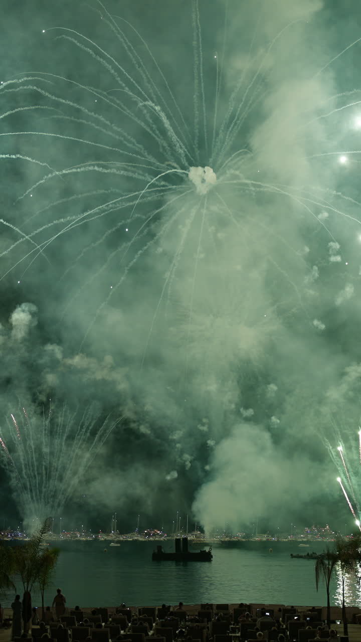 Fireworks on the sky at the Cannes Fireworks Festival at night. Vertical