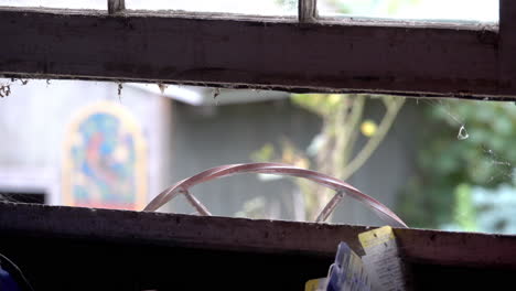 A-Carolina-Wren-flies-out-an-open-window