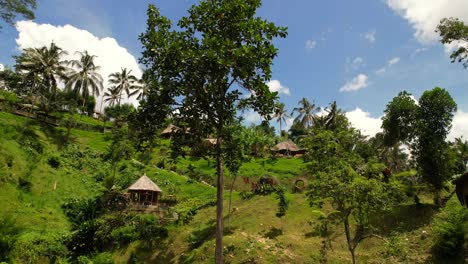 magical hilltop of bamboo huts in bali on a sunny day with coconut trees, aerial