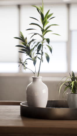 green houseplant in a white vase on a wooden table