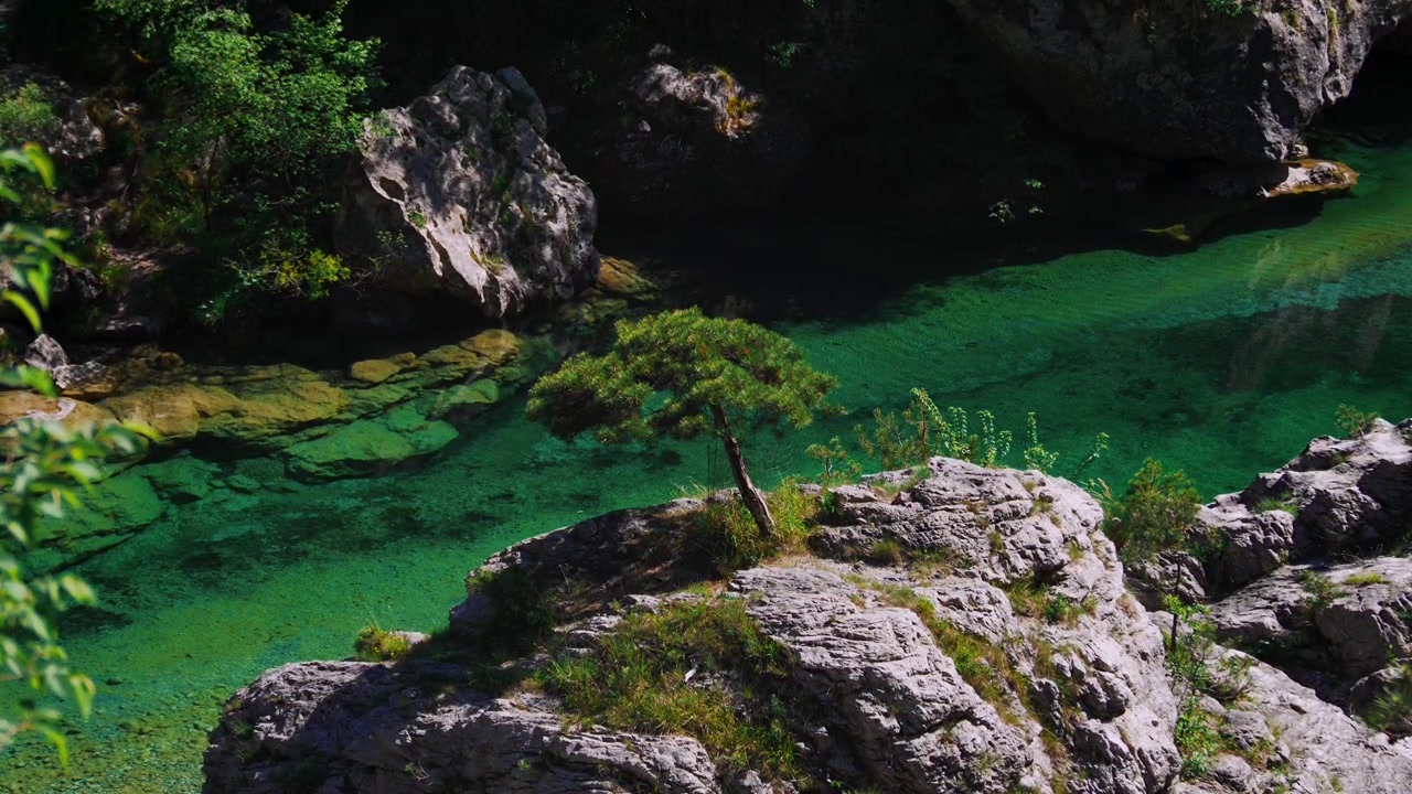 Pozze Smeraldinen smaragdinvihreät altaat ja yksinäinen mänty kalliolla. Kaunis vuoristojoen vesikanjoni, Italia.