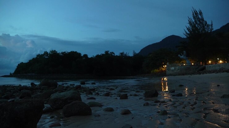 Damai Central è un complesso ricreativo polifunzionale situato nell'area di Damai Beach a Santubong, Kuching. Questa destinazione è popolare per combinare l'accesso alla spiaggia con uno sfondo scenografico e lussureggiante