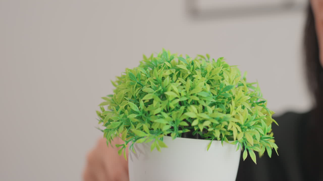 Mulher podando uma planta de vaso de mesa, close da poda cuidadosa com tesoura e mãos firmes, esmalte de unha preto, vaso de cerâmica branco, folhagem verde vibrante, plano de fundo interno neutro, minimalista