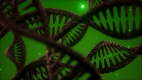 Struktur-Der-DNA-Doppelhelix-Animation