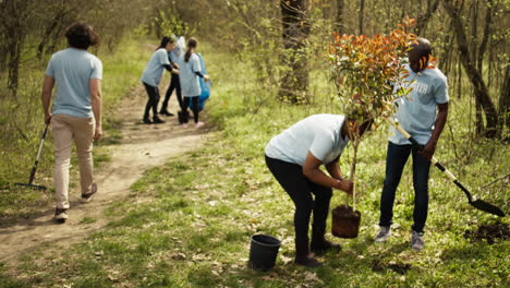 activistas afroamericanos plantando árboles para la preservación de la naturaleza