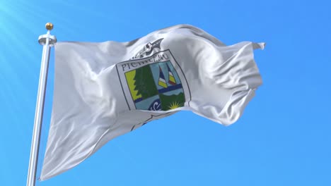 pichilemu flag, o'higgins, chile. loop